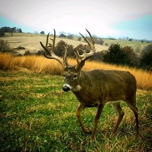 Meet your Posher, Chris